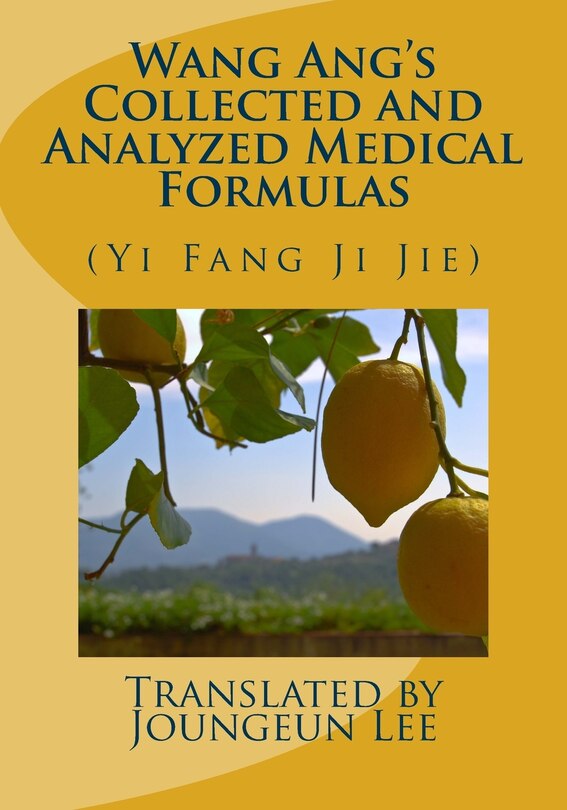 Wang Ang's Collected and Analyzed Medical Formulas: (Yi Fang Ji Jie)