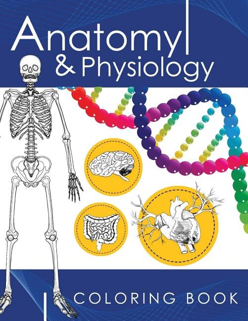 Anatomy & Physiology Coloring Book: A Complete Study Guide (3rd Edition