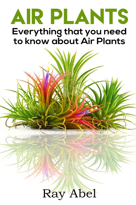 Front cover_Air Plants