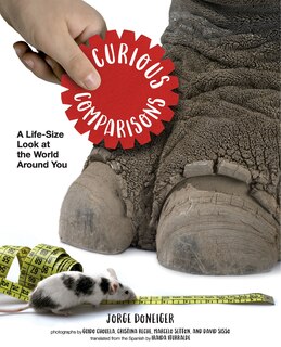 Couverture_Curious Comparisons: A Life-size Look At The World Around You