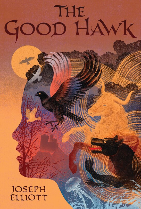 Front cover_The Good Hawk (shadow Skye, Book One)