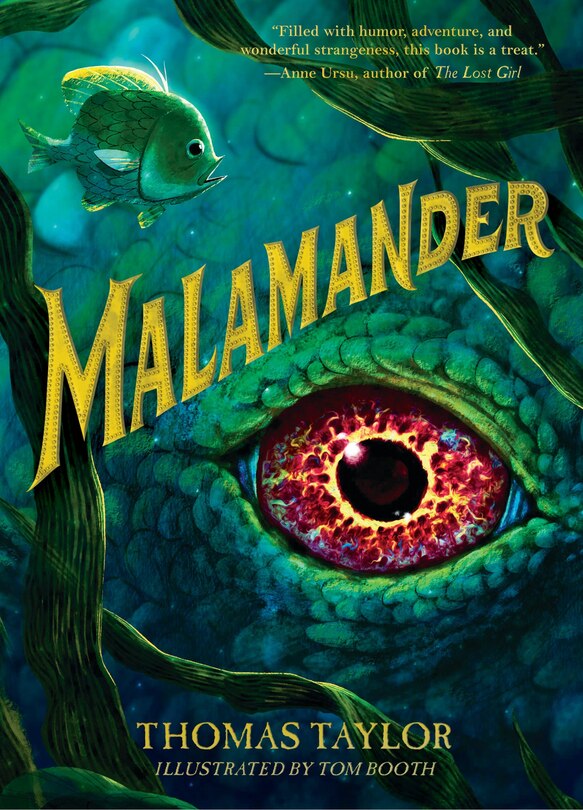 Couverture_Malamander