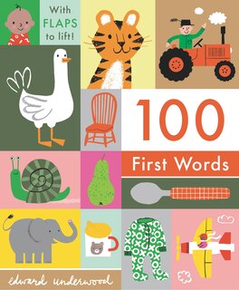 Front cover_100 First Words: With Flaps to Lift