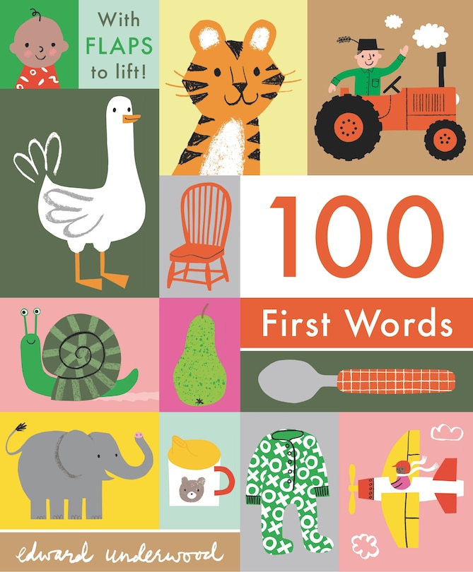 Front cover_100 First Words: With Flaps to Lift