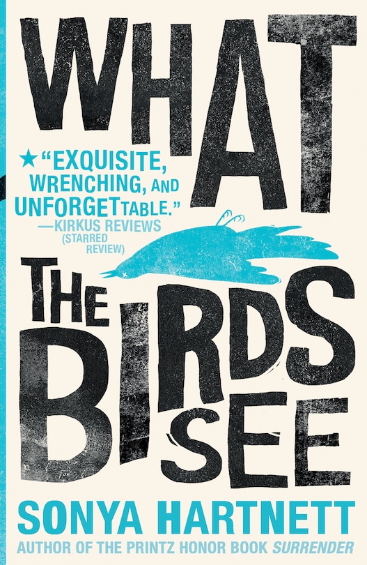 Couverture_What The Birds See