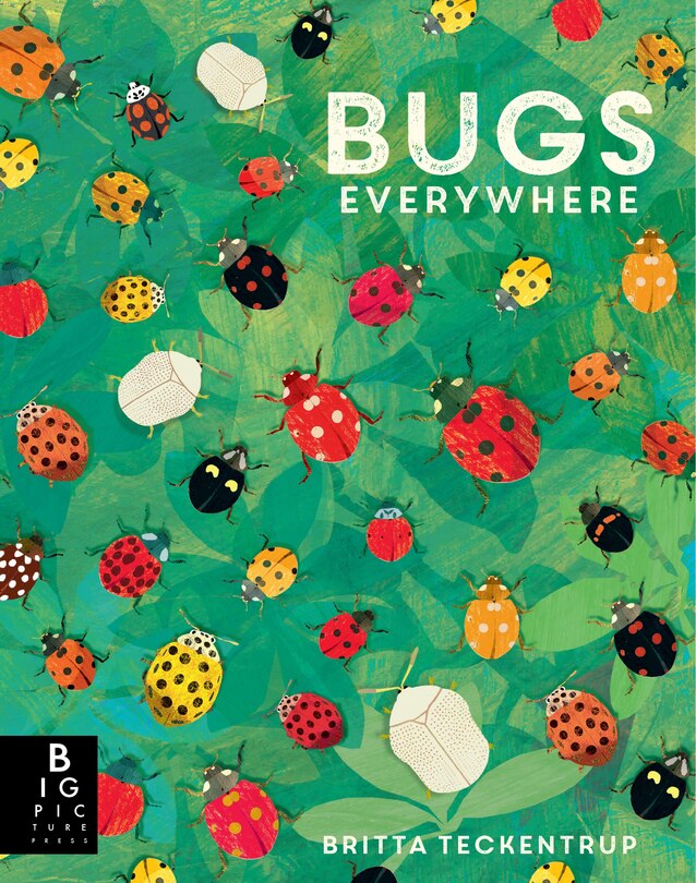 Front cover_Bugs Everywhere