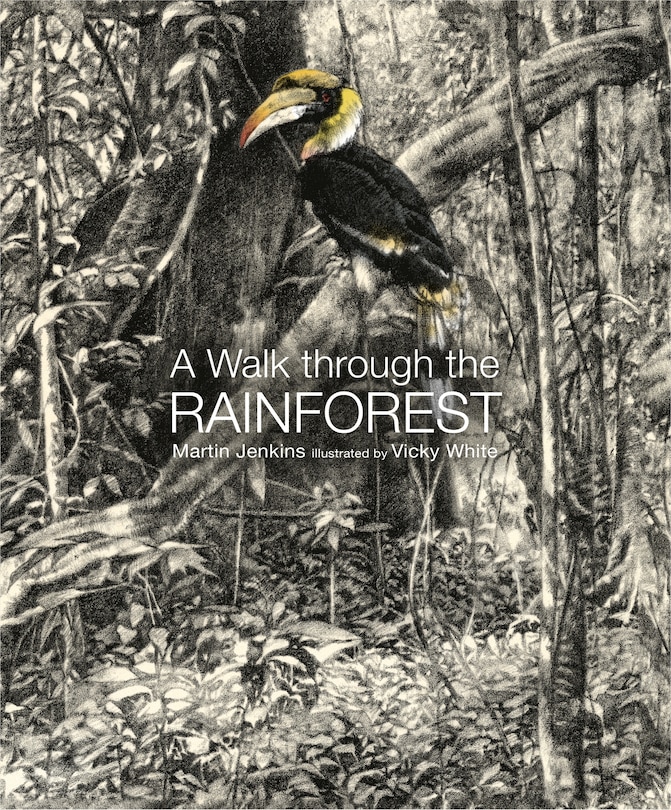 Couverture_A Walk Through The Rain Forest