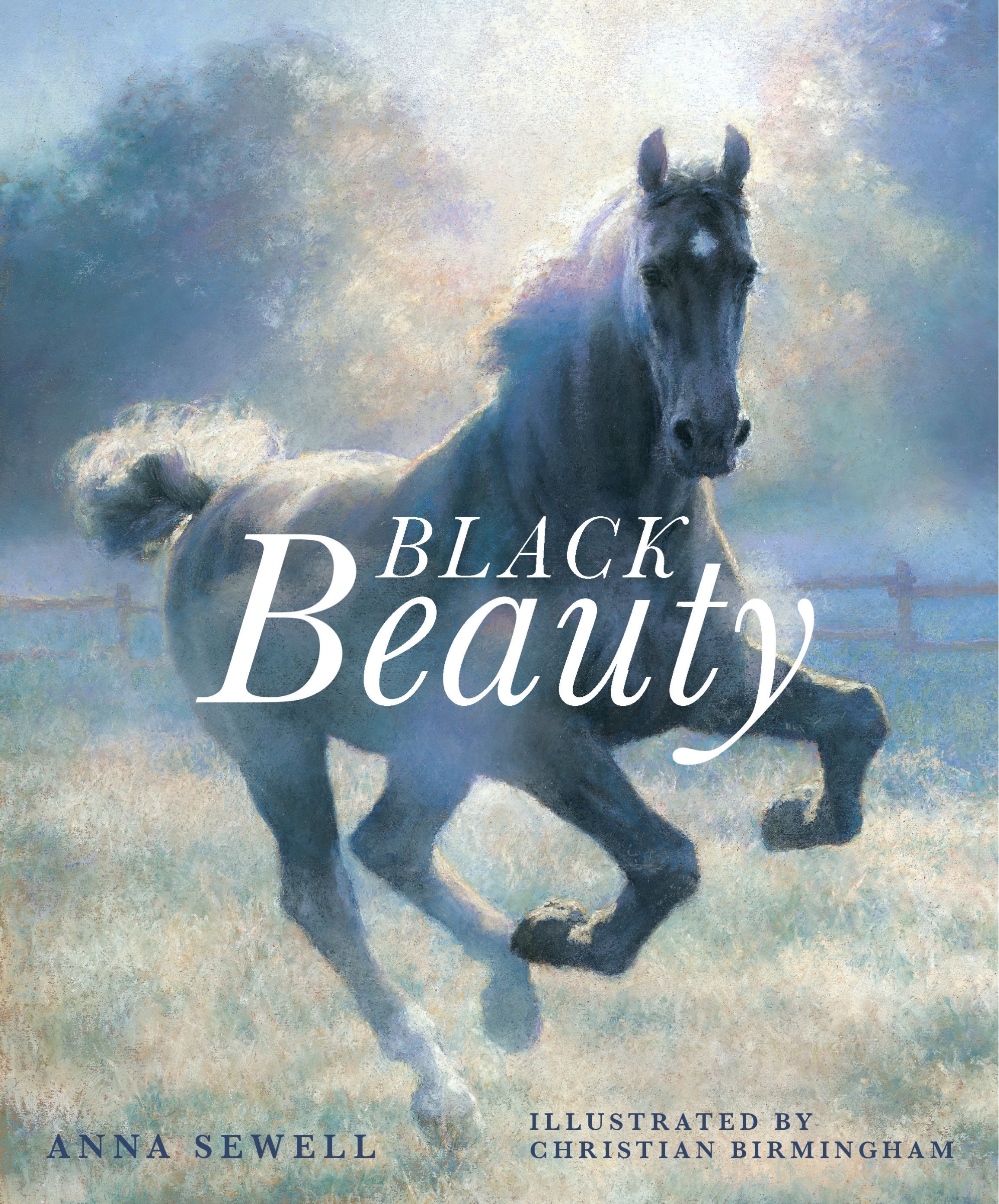 Black Beauty Book By Anna Sewell, ('tc') | Indigo