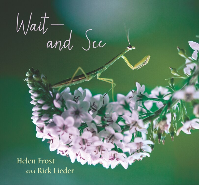 Front cover_Wait And See