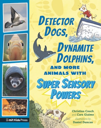 Detector Dogs, Dynamite Dolphins, And More Animals With Super Sensory Powers