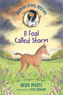 Couverture_Jasmine Green Rescues: A Foal Called Storm