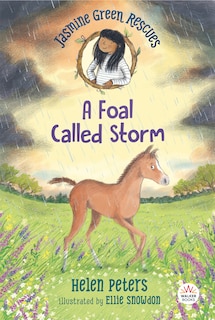 Couverture_Jasmine Green Rescues: A Foal Called Storm