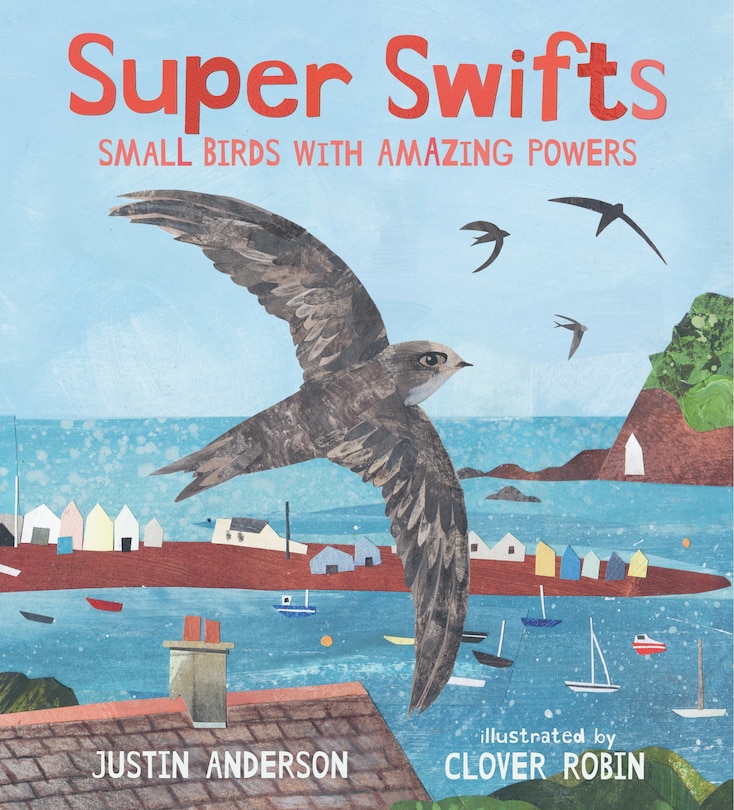 Front cover_Super Swifts: Small Birds with Amazing Powers