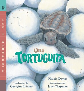 Front cover_Una tortuguita