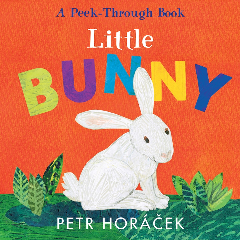 Front cover_Little Bunny