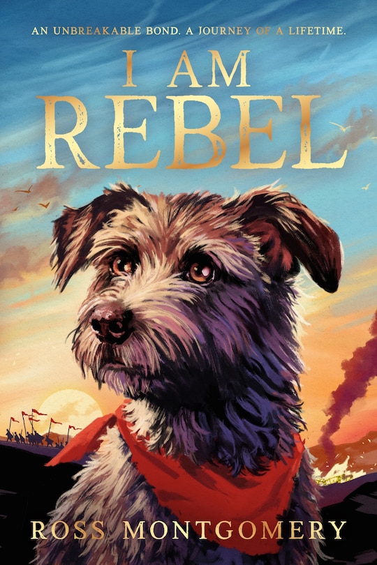 Front cover_I Am Rebel
