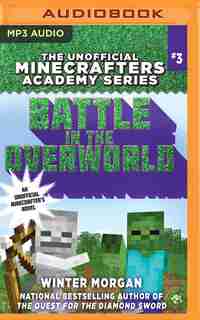 Battle In The Overworld de Winter Morgan
