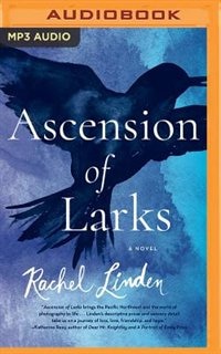 Ascension Of Larks