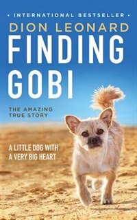 Finding Gobi: A Little Dog With A Very Big Heart