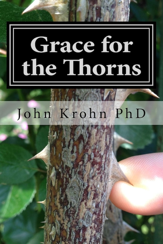 Grace for the Thorns: Finding God's Grace in the Midst of Unrelenting Trials