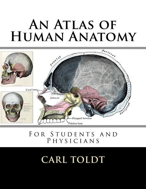 An Atlas Of Human Anatomy: [for Students And Physicians]