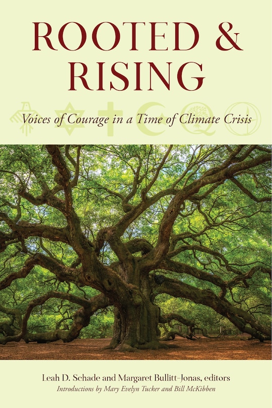 Couverture_Rooted And Rising