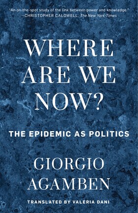 Where Are We Now?: The Epidemic As Politics