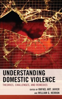 Front cover_Understanding Domestic Violence