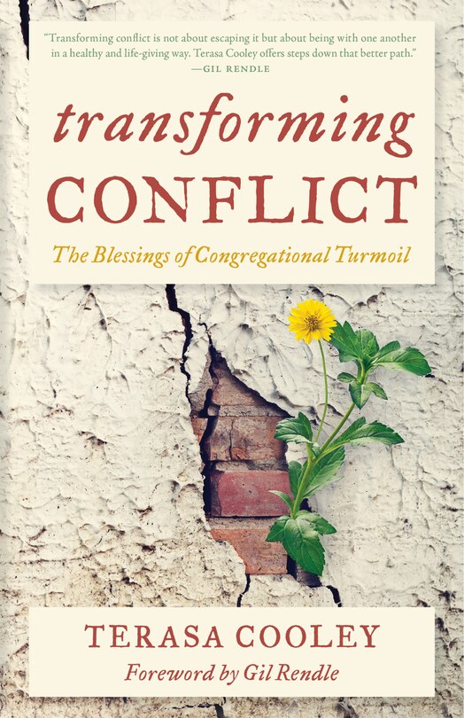 Couverture_Transforming Conflict