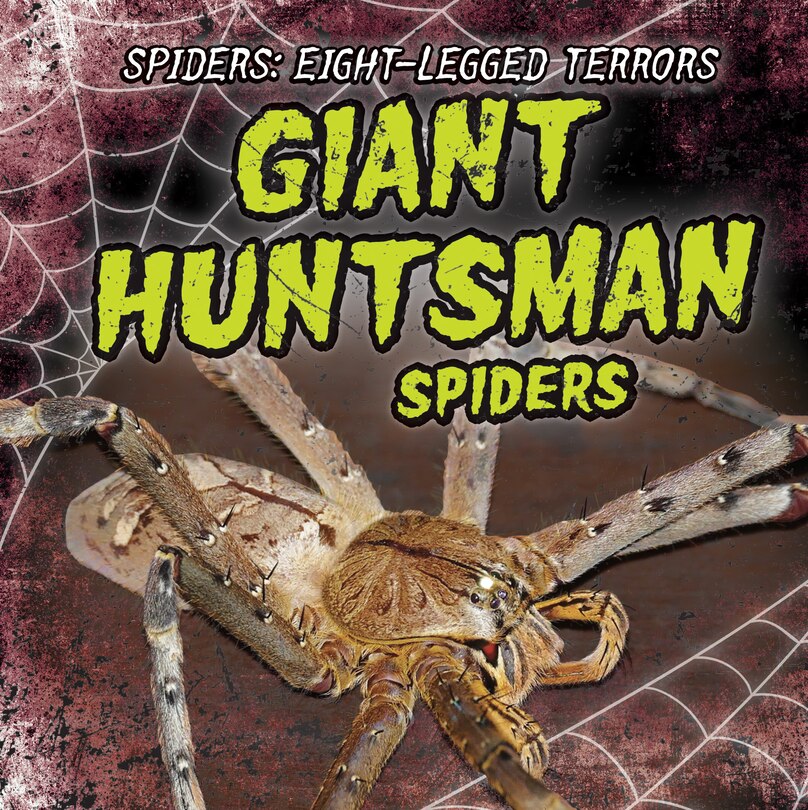 Front cover_Giant Huntsman Spiders