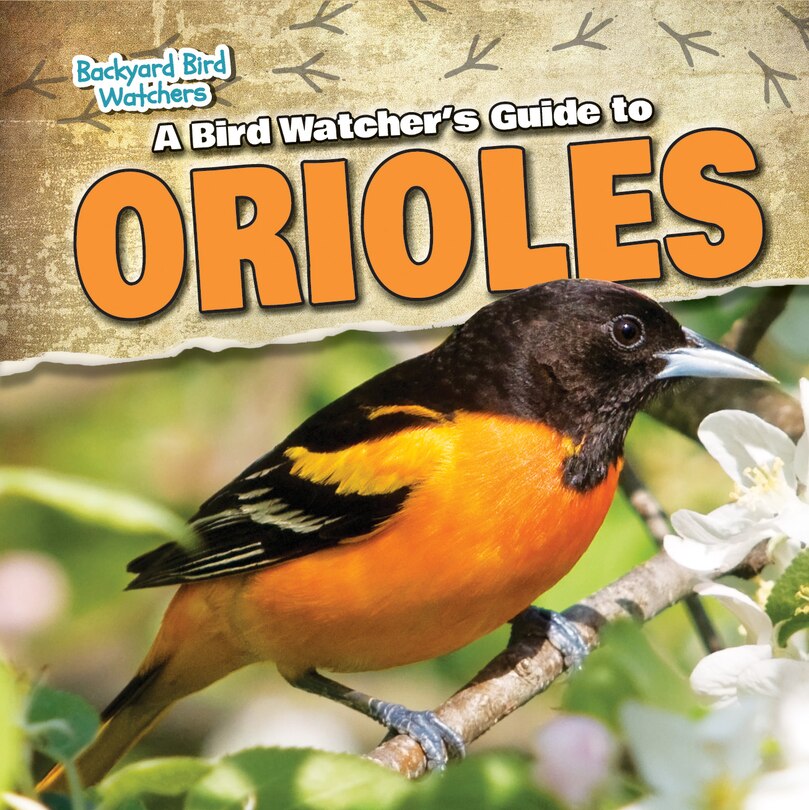 Front cover_A Bird Watcher's Guide to Orioles