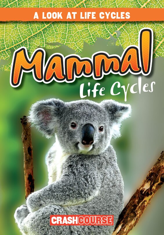 Front cover_Mammal Life Cycles