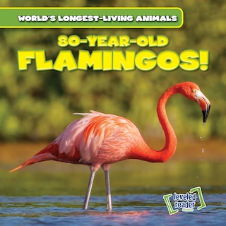 Front cover_80-Year-Old Flamingos!