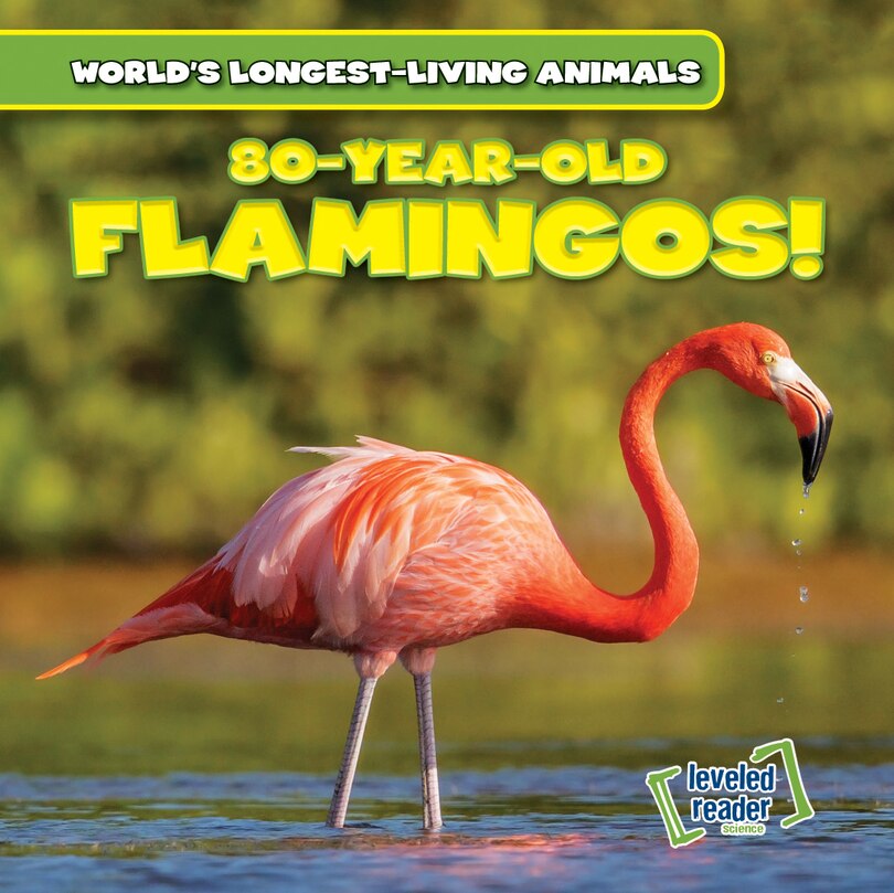Front cover_80-Year-Old Flamingos!