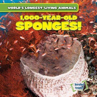 Couverture_1,000-Year-Old Sponges!