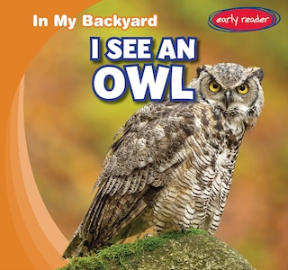Front cover_I See an Owl