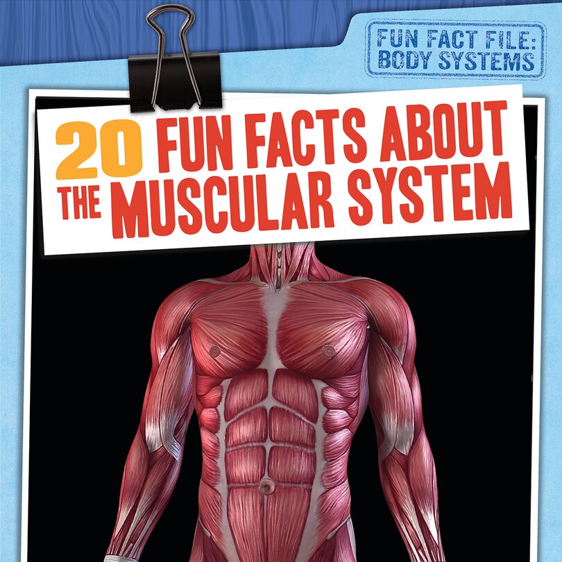Front cover_20 Fun Facts about the Muscular System