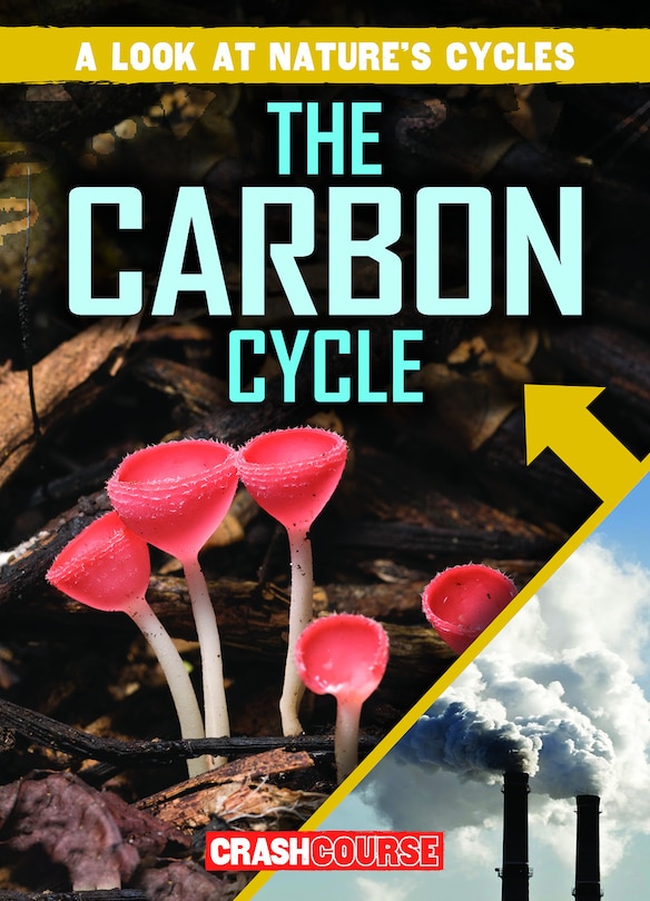 Front cover_The Carbon Cycle
