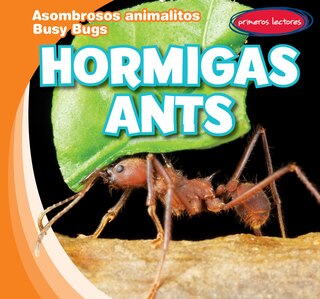 Front cover_Hormigas / Ants