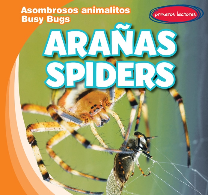 Arañas / Spiders