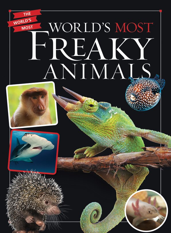 Couverture_World's Most Freaky Animals