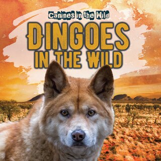 Couverture_Dingoes in the Wild