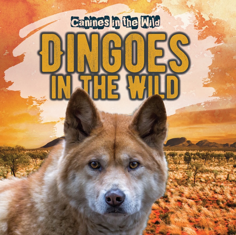 Couverture_Dingoes in the Wild