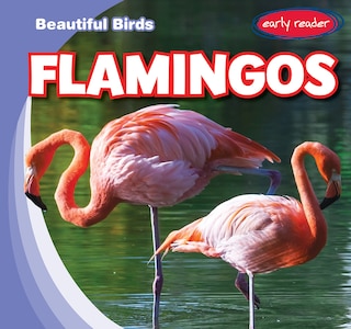 Front cover_Flamingos