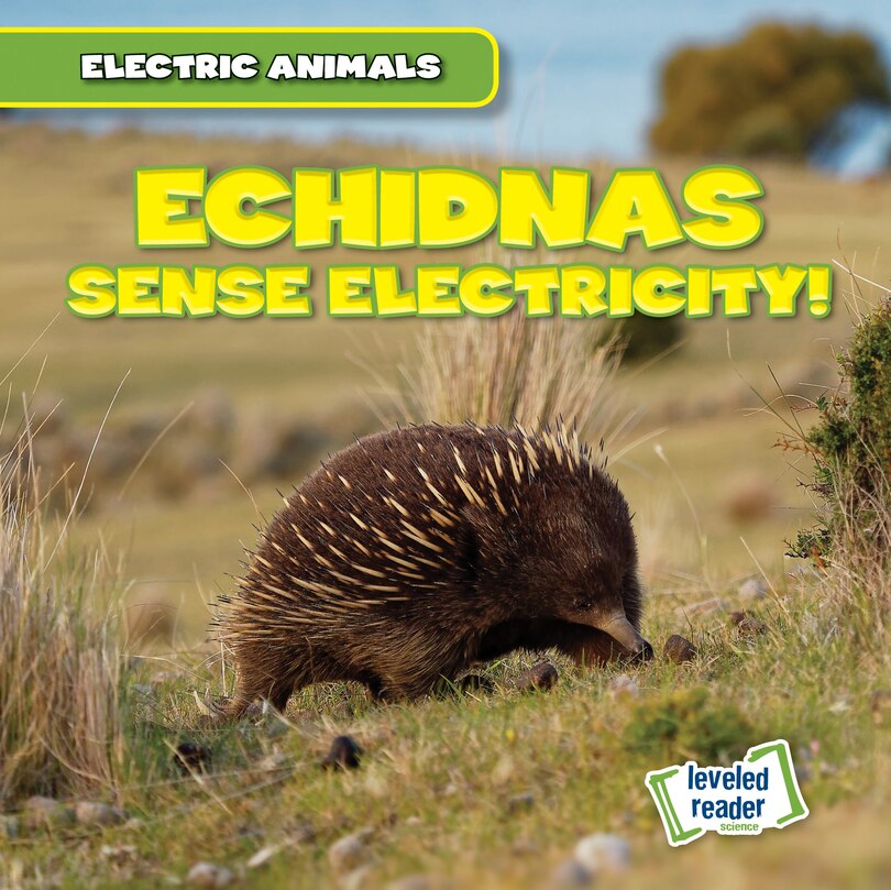 Front cover_Echidnas Sense Electricity!