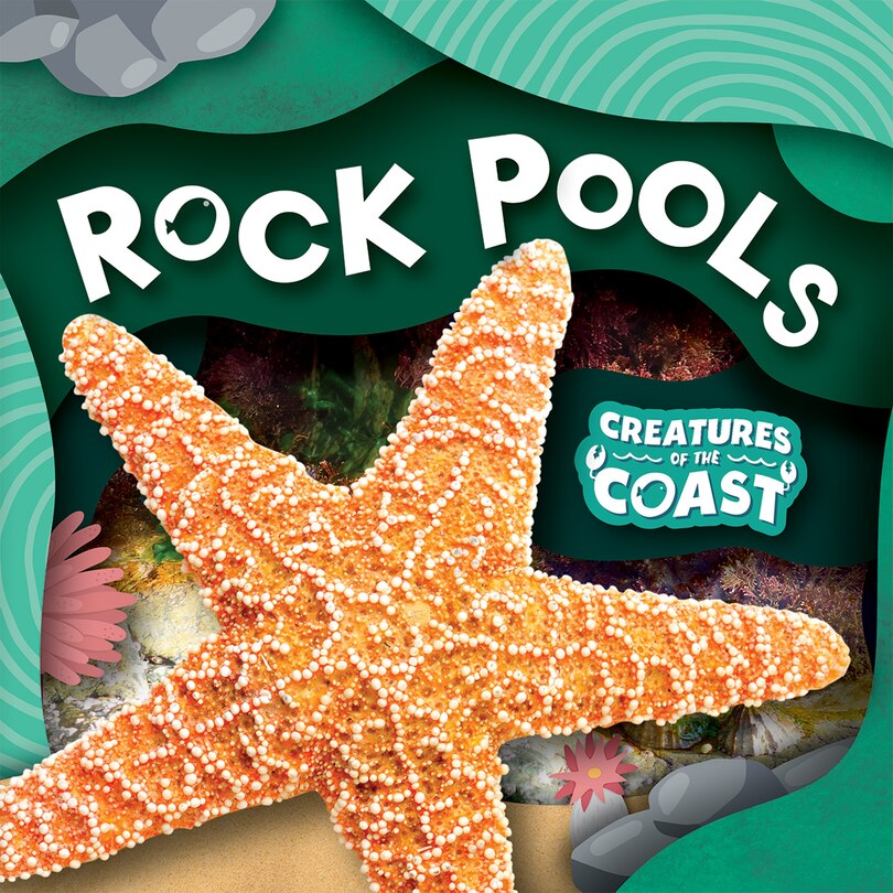 Front cover_Rock Pools