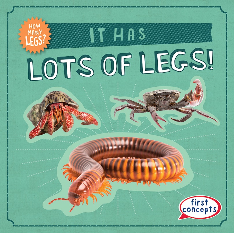 Front cover_It Has Lots of Legs!