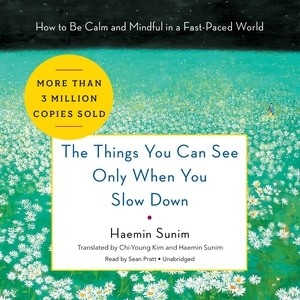 The Things You Can See Only When You Slow Down: How To Be Calm And Mindful In A Fast-paced World