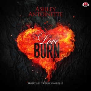 Front cover_Love Burn