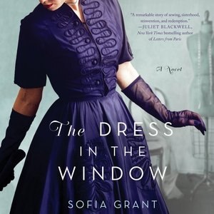 The Dress In The Window: A Novel